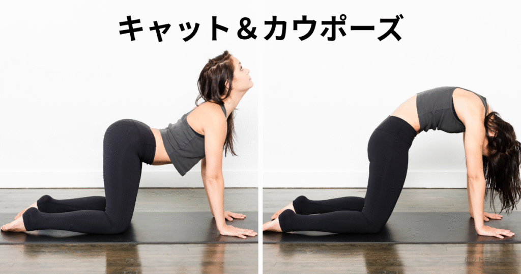 ホットヨガ大全